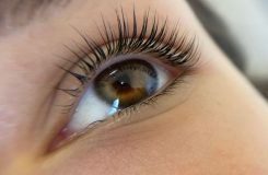 Ranking of the best sets for eyelash lamination for beginners